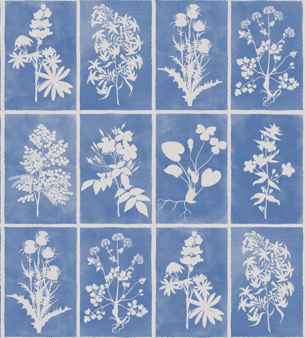 Cyanotype